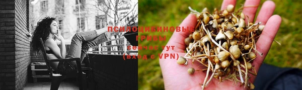 PSILOCYBIN Зеленокумск