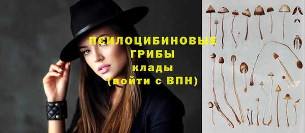 бутират Зеленодольск