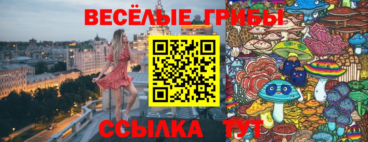 Псилоцибиновые грибы MAGIC MUSHROOMS Тобольск