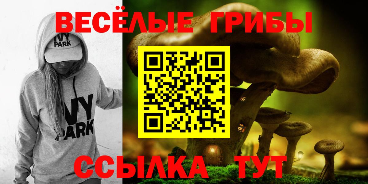 Псилоцибиновые грибы Cubensis  Вход с VPN  Тобольск 